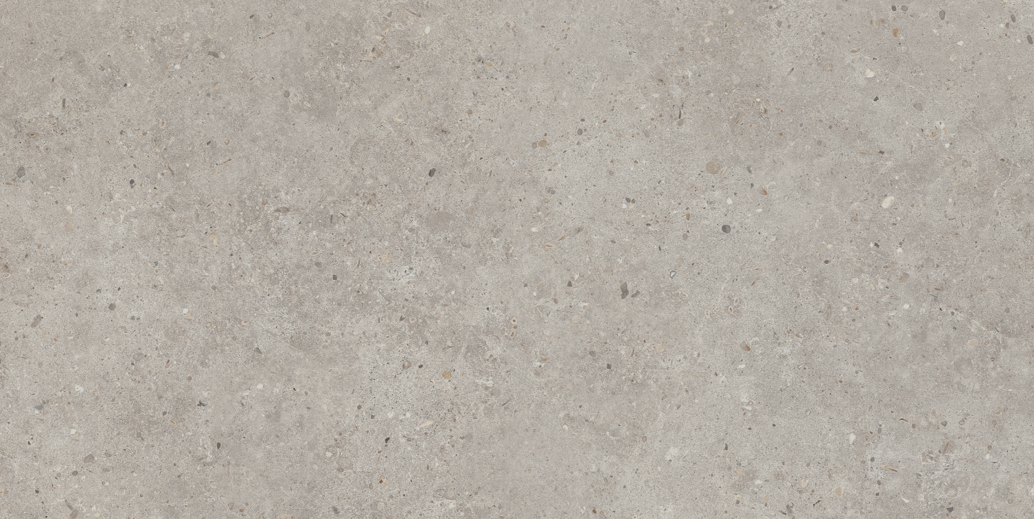 Керамический гранит Kerama Marazzi Риккарди SG519920R серый светлый матовый обрезной 60х119,5