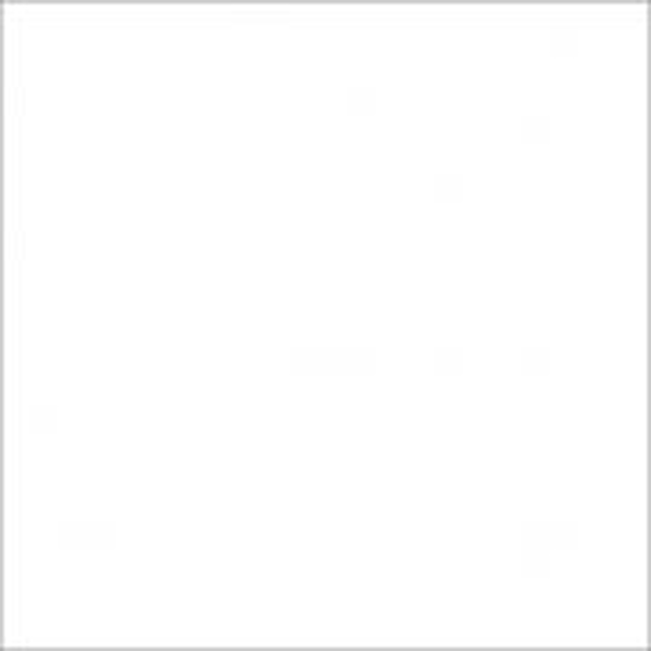 Керамический гранит SG917400N Гармония белый