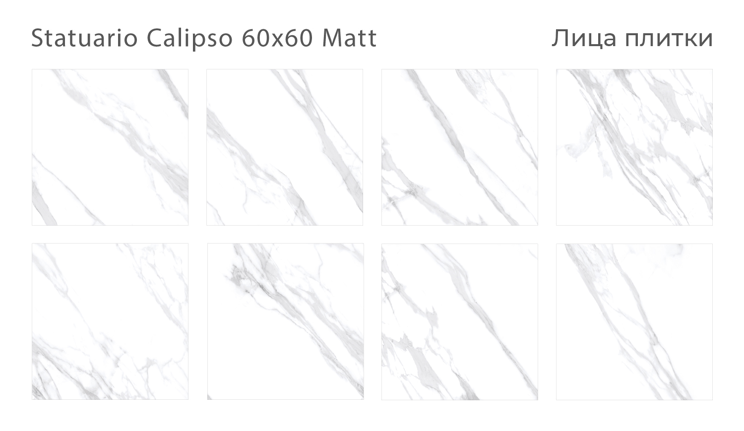 Керамический гранит Statuario Calipso Matt 60x60
