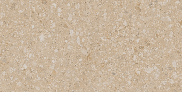 Керамический гранит Jasper JP02 Light Beige неполированный 30.6x60.9