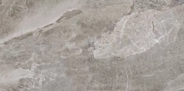 Керамический гранит Primavera Essence Grey 60х120 PR209 полированный