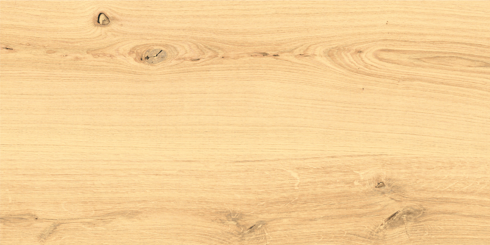 Керамический гранит Cersanit Woodhouse бежевый WS4O012 29,7x59,8