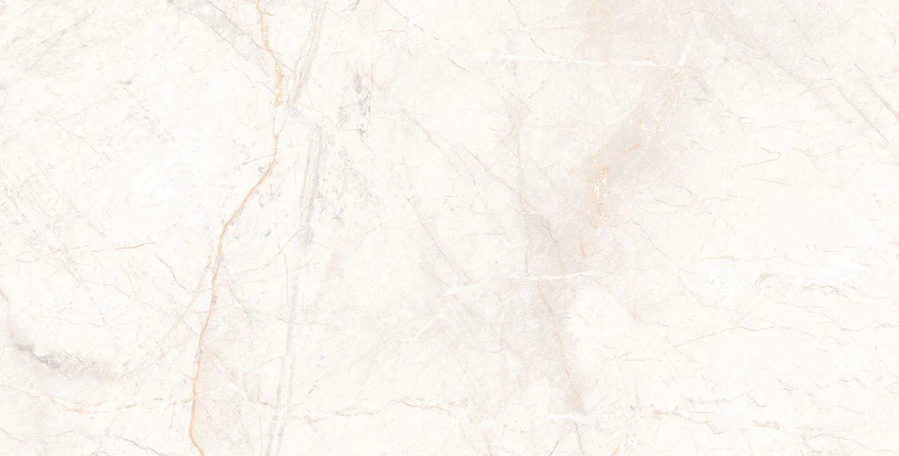 Керамический гранит Usak Seramik Manavgat Bone Polished 60x120