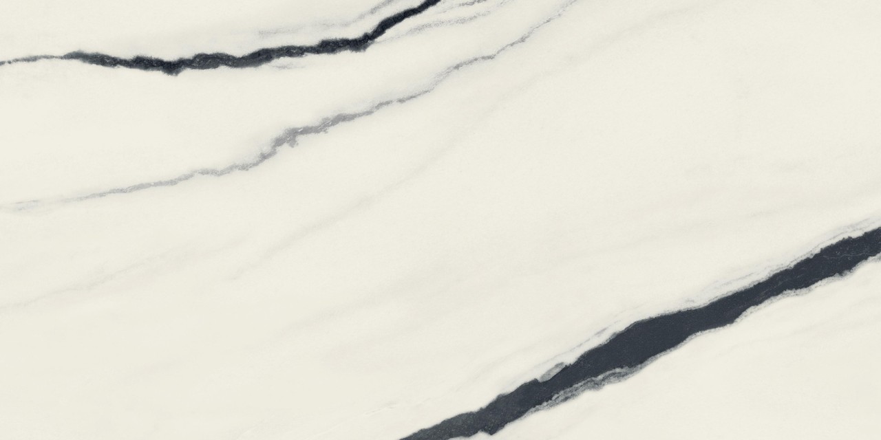 Керамический гранит Atlas Concorde Форте Дей Марми Панда Вайт Рет 60х120 Чер