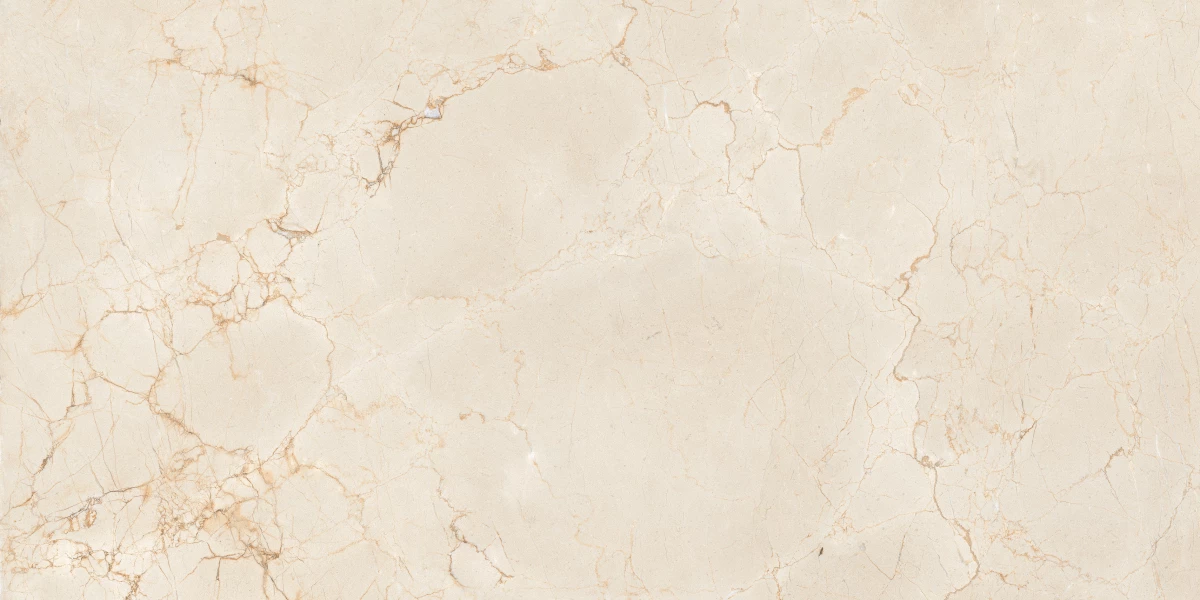 Керамический гранит MAIMOON CERAMICA ITACID CRIOX MOSS Carving 60х120