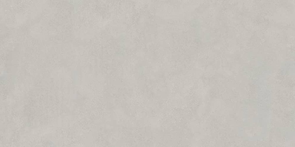 Керамический гранит Lasselsberger Ceramics Иней 6493-0138 60х120 темно-серый