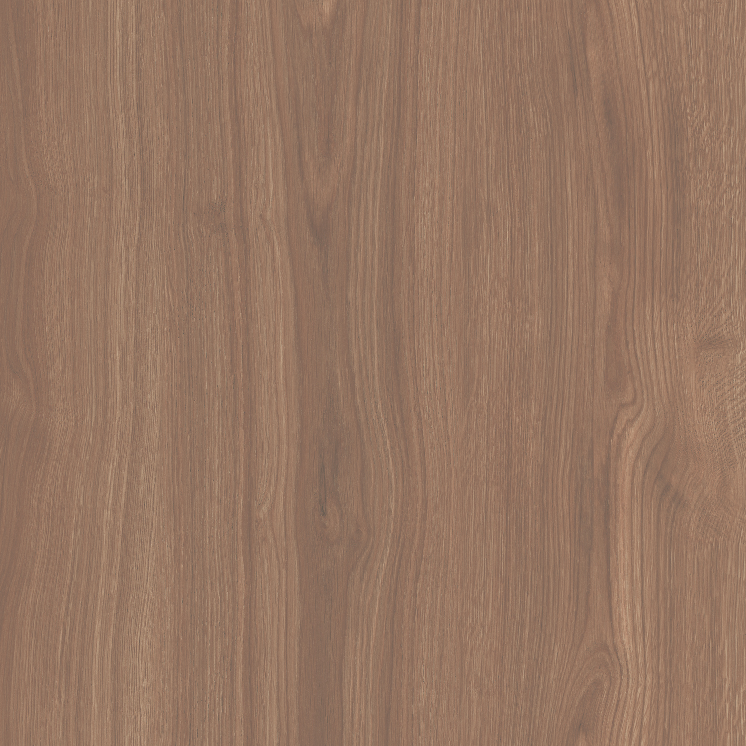 Керамический гранит Kerama Marazzi SG644020R Альберони коричневый матовый обрезной 60х60