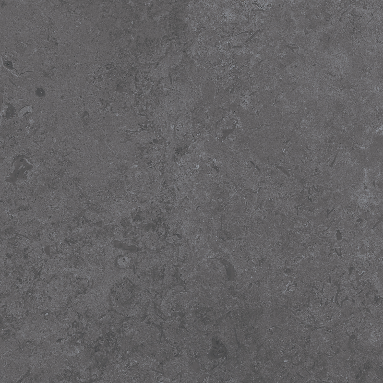 Керамический гранит Kerama Marazzi Про Лаймстоун DD640820R серый темный натуральный обрезной 60х60 см