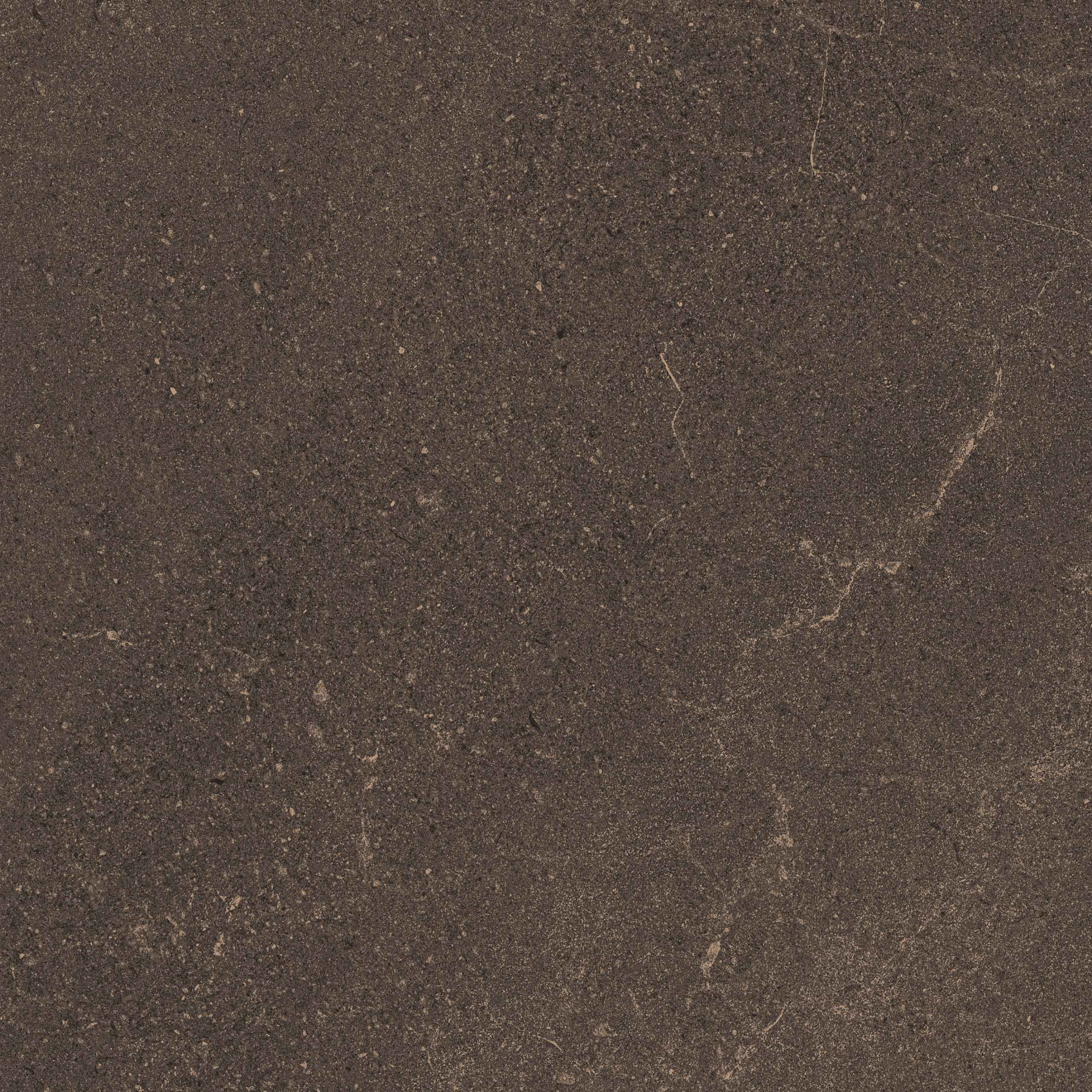 Керамический гранит Estima Gabbro GB04 коричневый неполированный 80x80