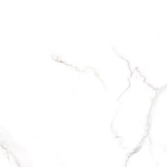 Керамический гранит Lasselsberger Ceramics Иней 6461-0411 60х60 белый