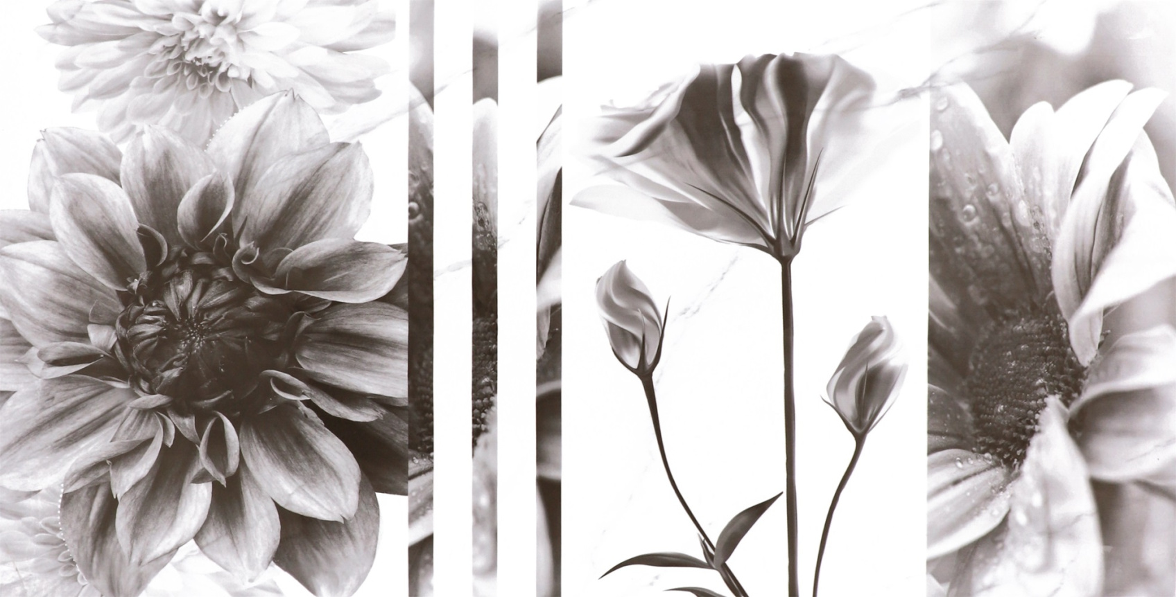 Керамическая плитка Галатея TP3601SWFY декор цветы