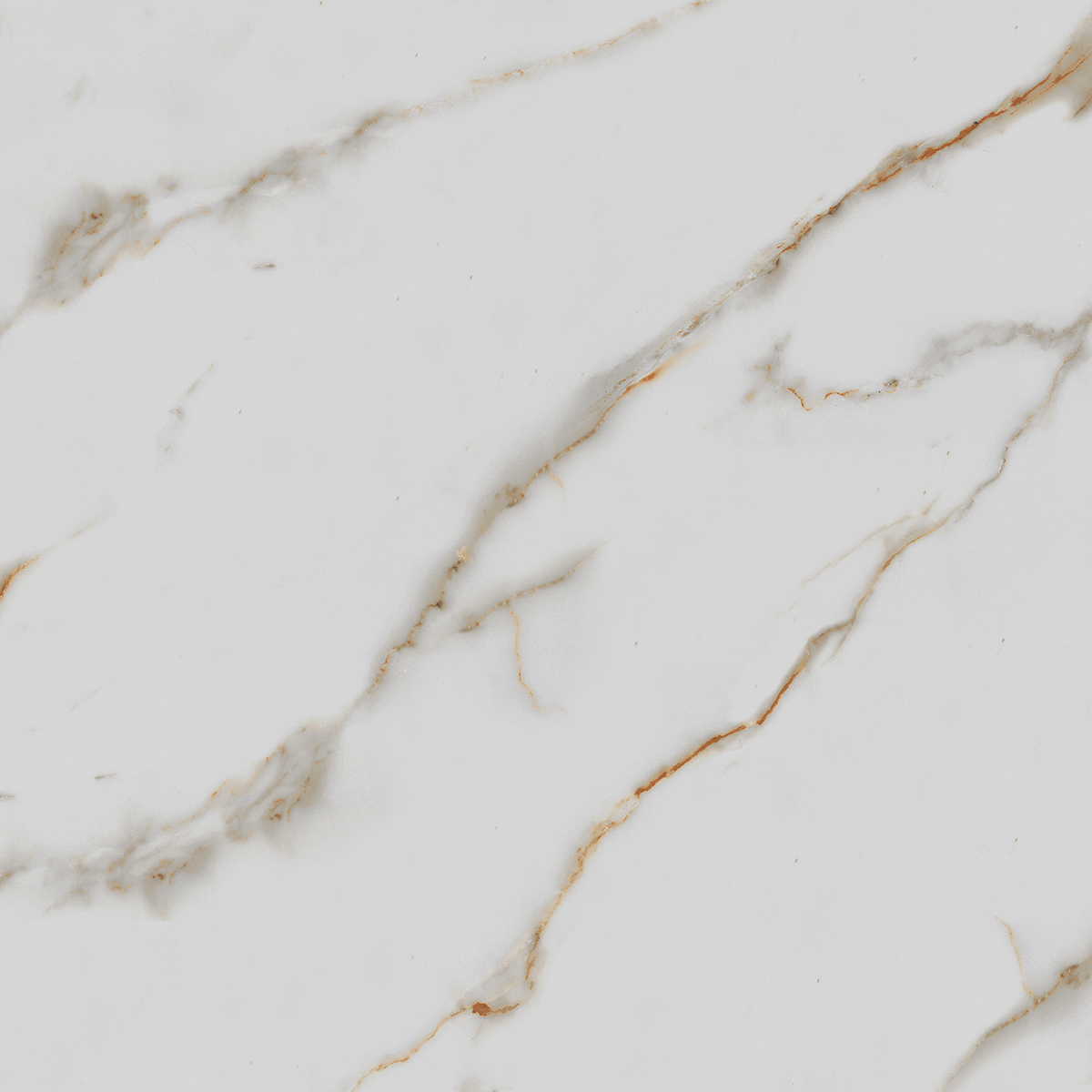 Керамогранит Royce Calacatta Gold R_PR1003 полированный