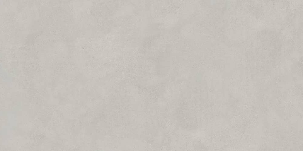 Керамический гранит Lasselsberger Ceramics Иней 6493-0138 60х120 темно-серый