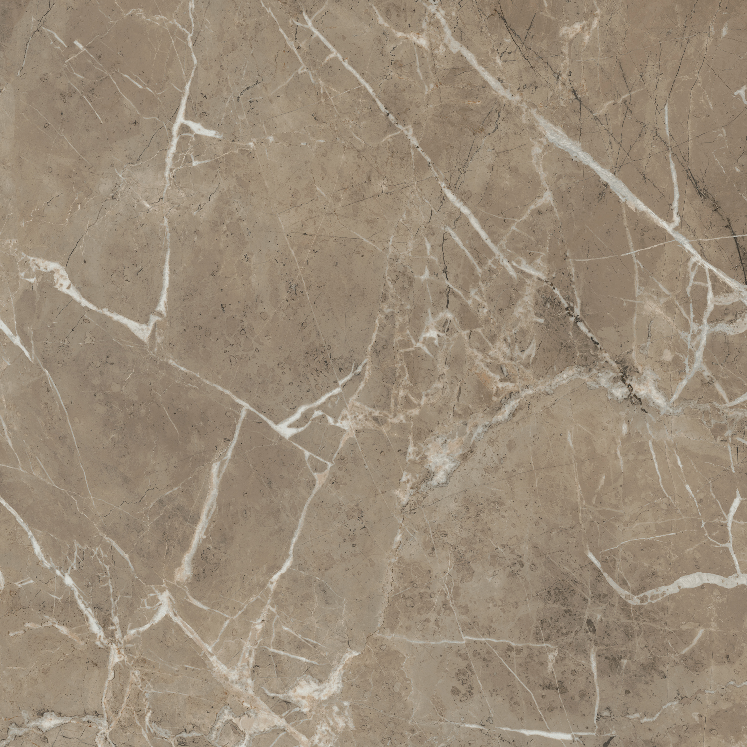 Керамический гранит Kerama Marazzi Серенада SG654122R бежевый темный лаппатированный обрезной 60х60