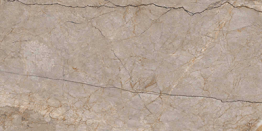 Керамический гранит Cersanit Futura Silver Roots серый ректификат 60x120 A17124