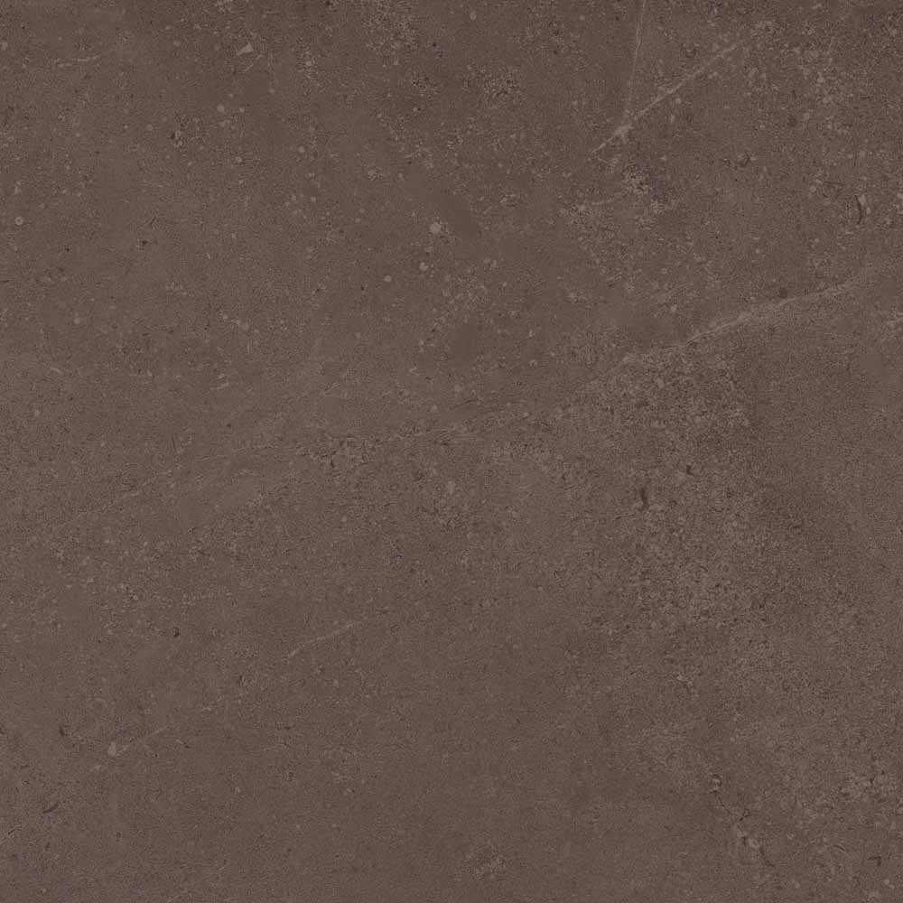 Керамический гранит Estima Gobi GO03 Brown Grey неполированный 60x60