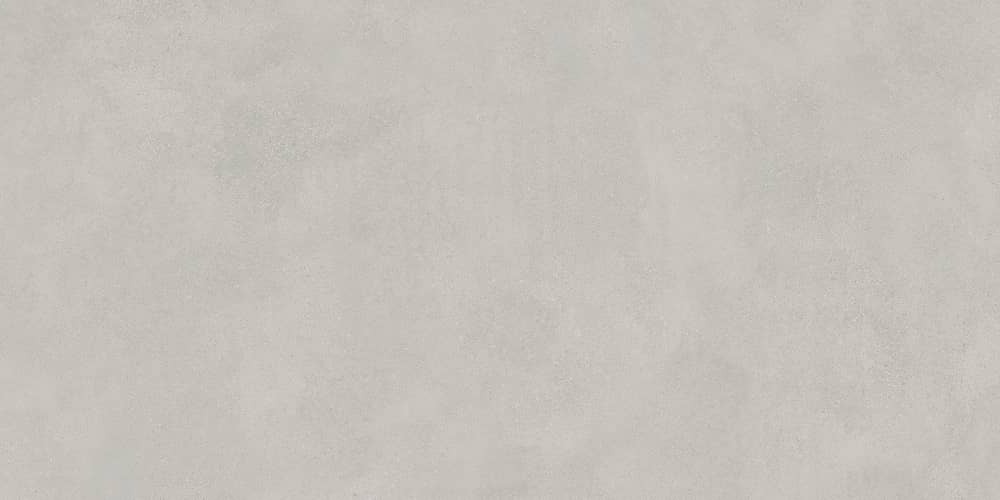 Керамический гранит Lasselsberger Ceramics Иней 6493-0138 60х120 темно-серый