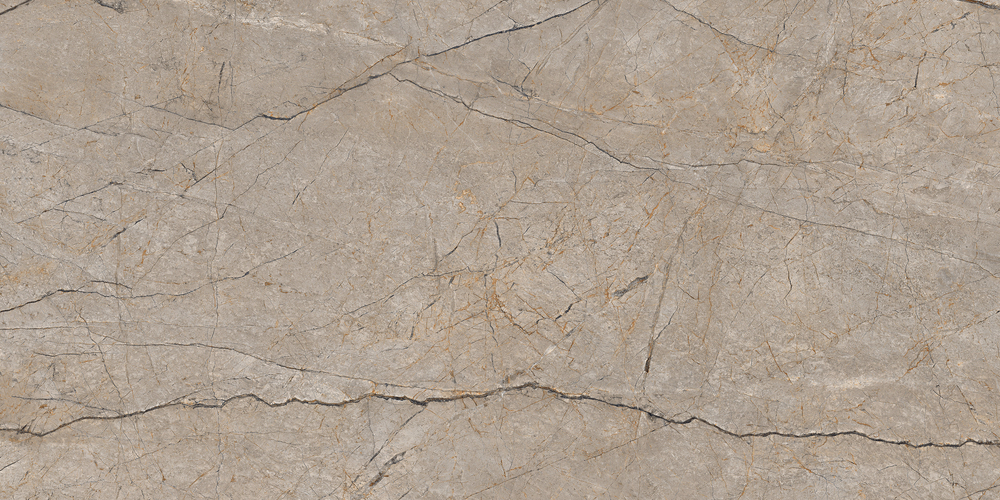 Керамический гранит Cersanit Futura Silver Roots серый ректификат 60x120 A17124