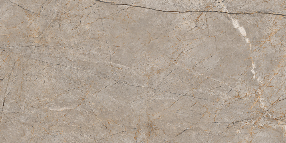 Керамический гранит Cersanit Futura Silver Roots серый ректификат 60x120 A17124