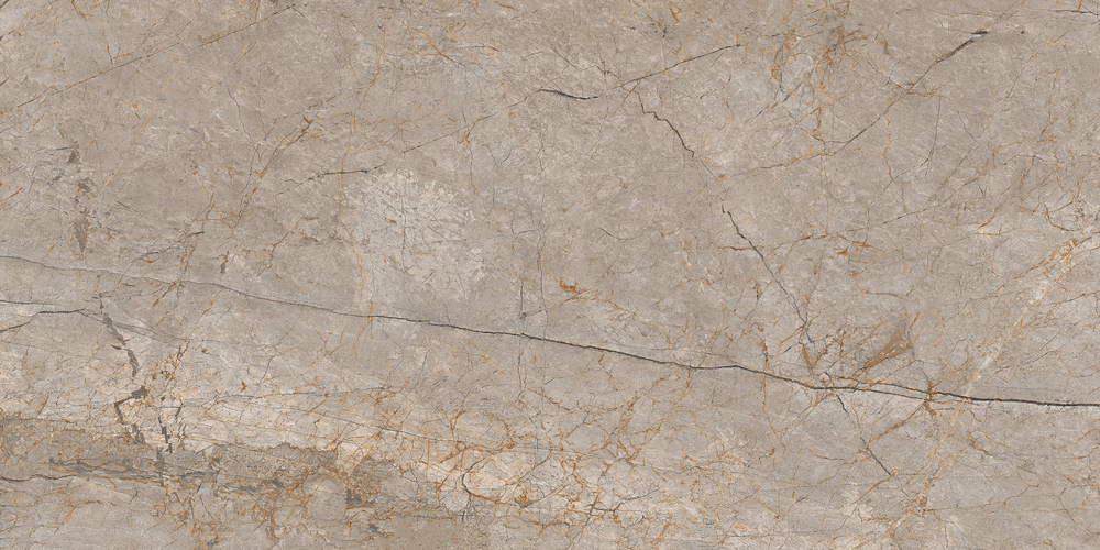 Керамический гранит Cersanit Futura Silver Roots серый ректификат 60x120 A17124