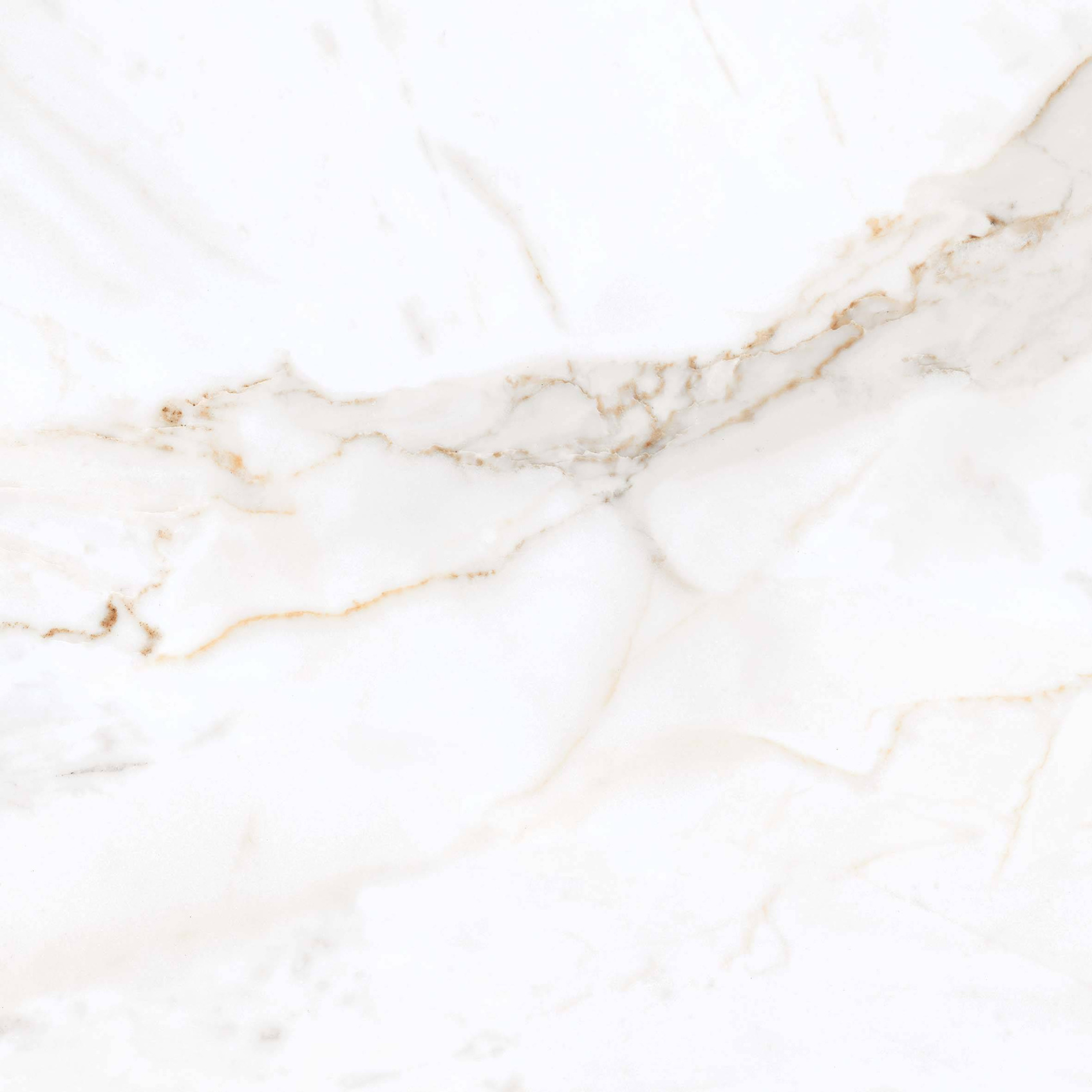 Керамический гранит Primavera Regal Carara 60х60 PR103 полированный