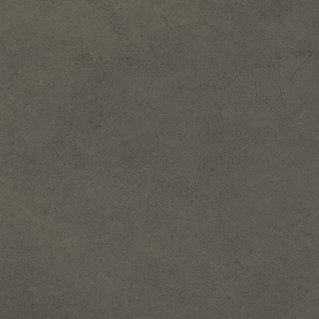 Керамический гранит Estima Gobi GO11 Grey неполированный 60x60