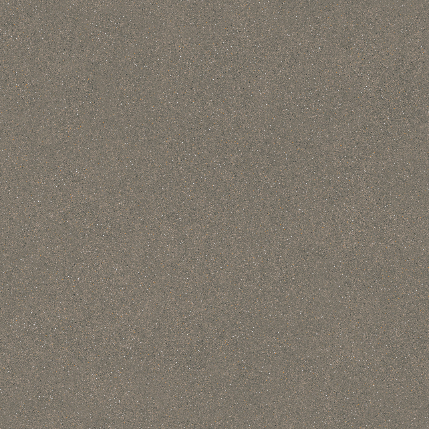 Керамический гранит Kerama Marazzi Джиминьяно DD642520R коричневый матовый обрезной 60х60