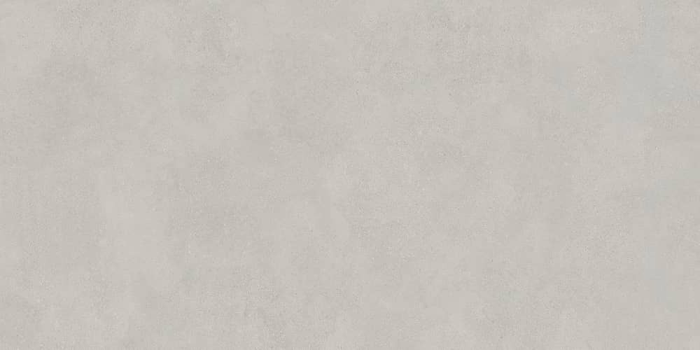 Керамический гранит Lasselsberger Ceramics Иней 6493-0138 60х120 темно-серый