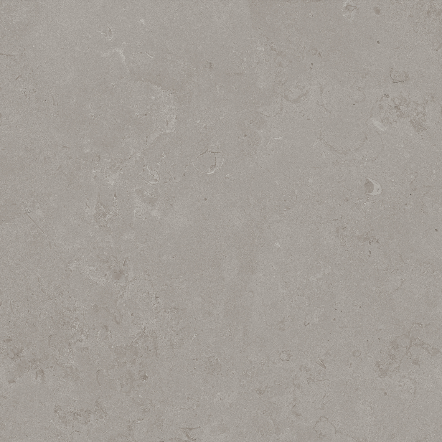 Керамический гранит Kerama Marazzi Про Лаймстоун DD640920R серый натуральный обрезной 60х60 см