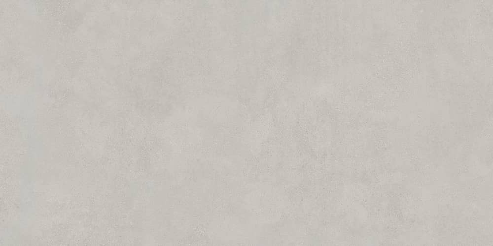 Керамический гранит Lasselsberger Ceramics Иней 6493-0138 60х120 темно-серый