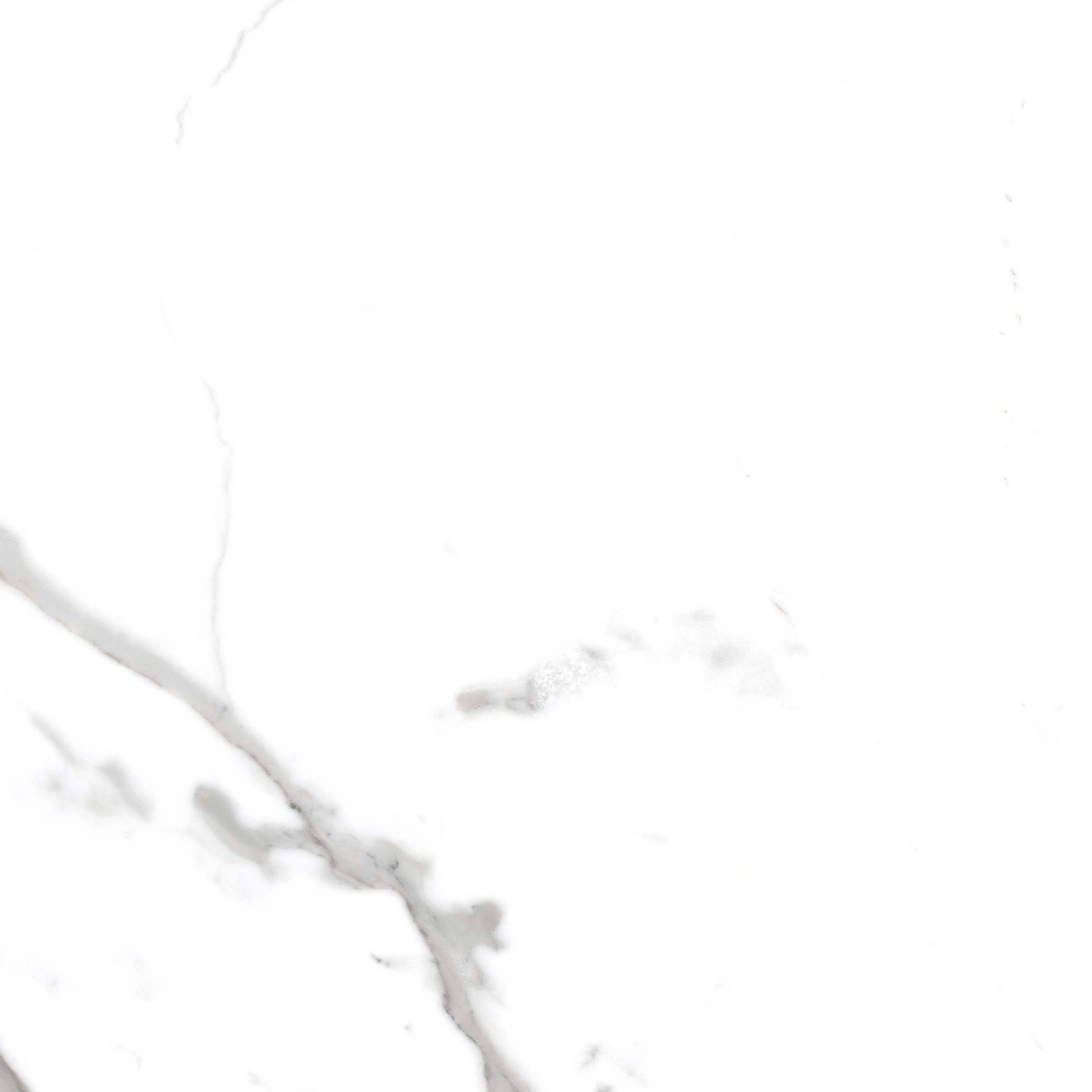 Керамический гранит Primavera Salvatore 60х60 PR107 полированный