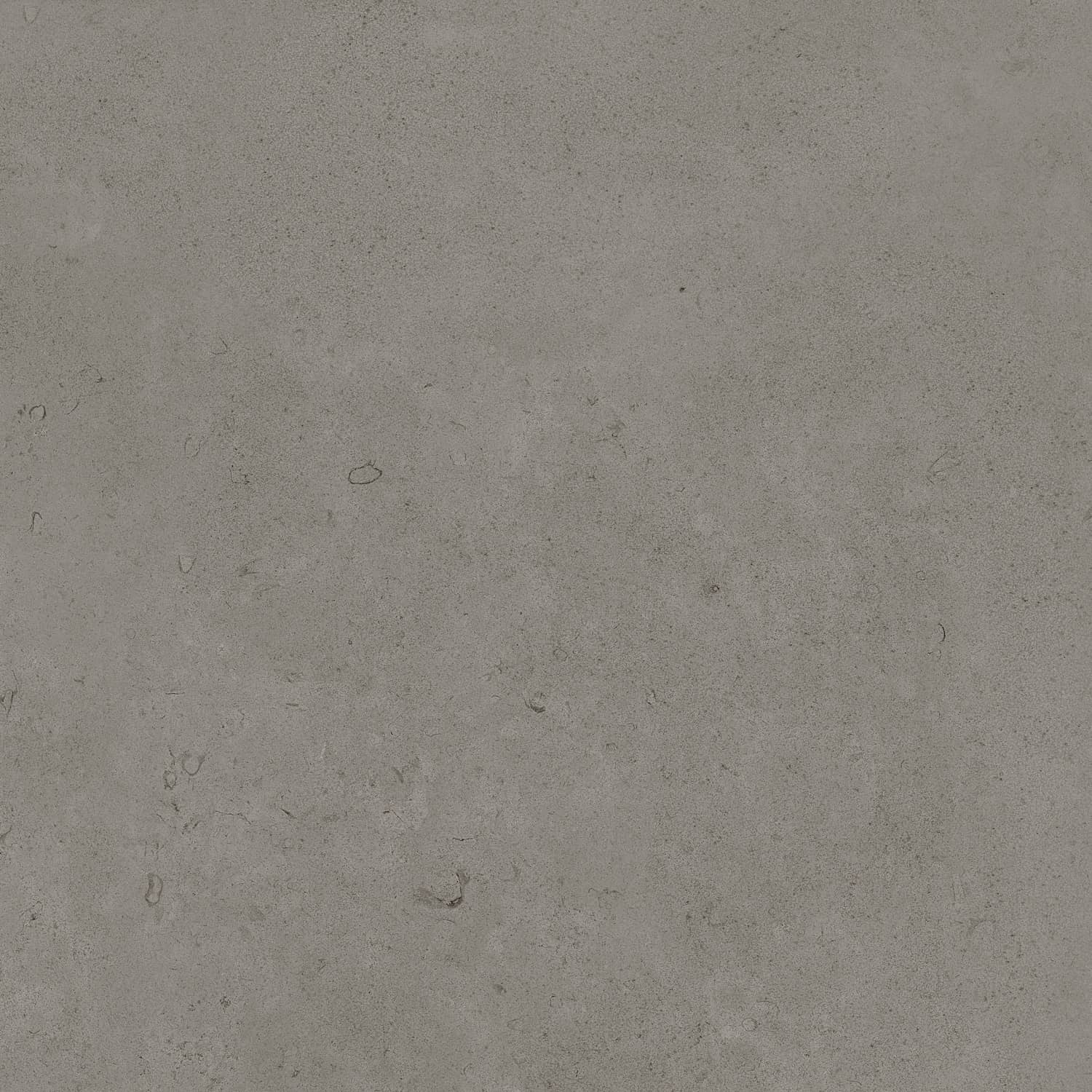 Керамический гранит Primavera Суган Matt 60x60 NG139