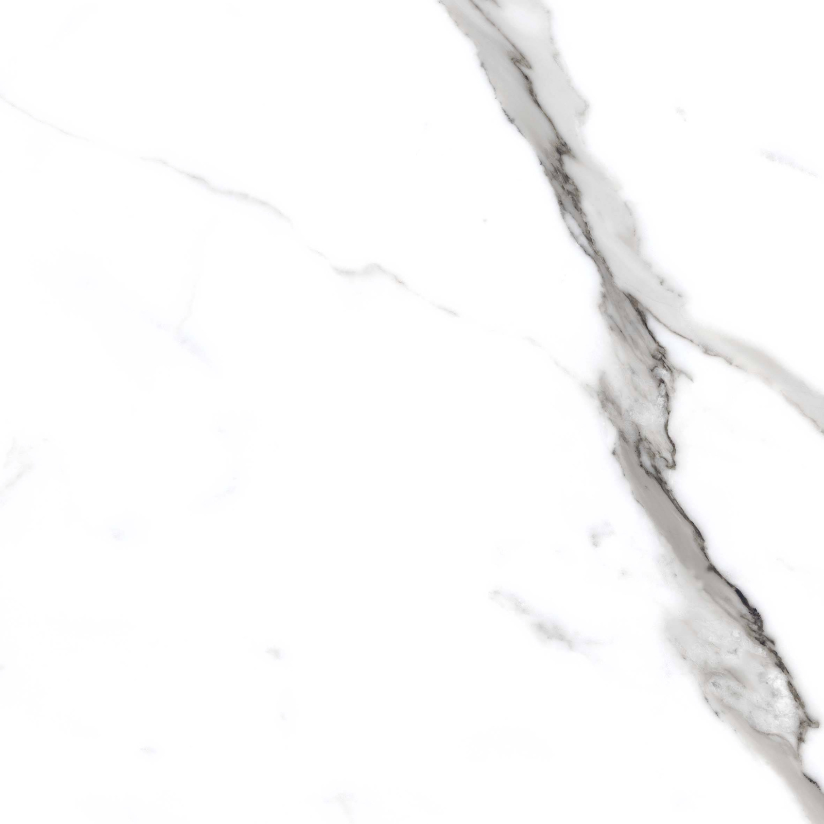 Керамический гранит Primavera Salvatore 60х60 PR107 полированный