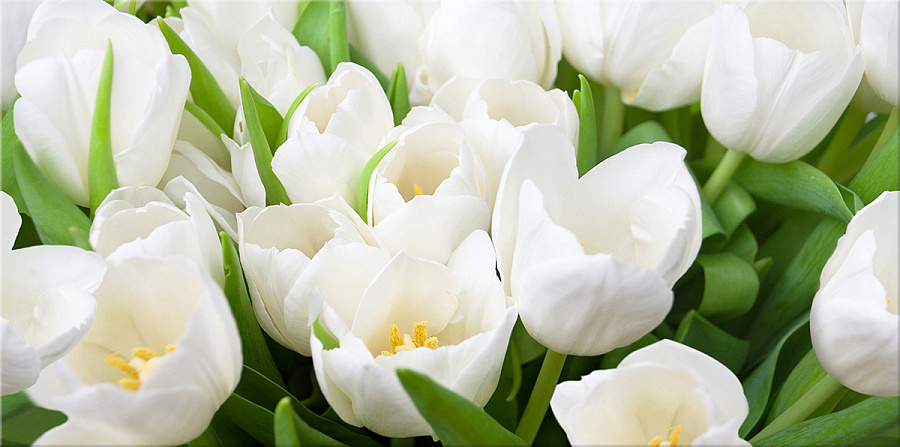 Керамический декор Azori Элара Верде Триумф 20,1x40,5