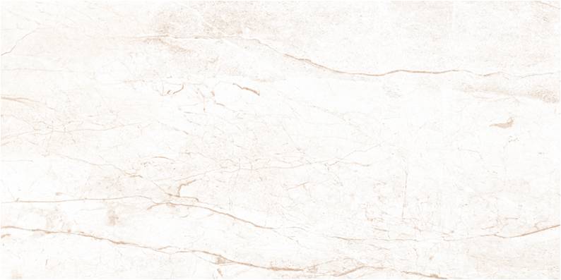 Керамический гранит Axima Newcastle светлый 60x120