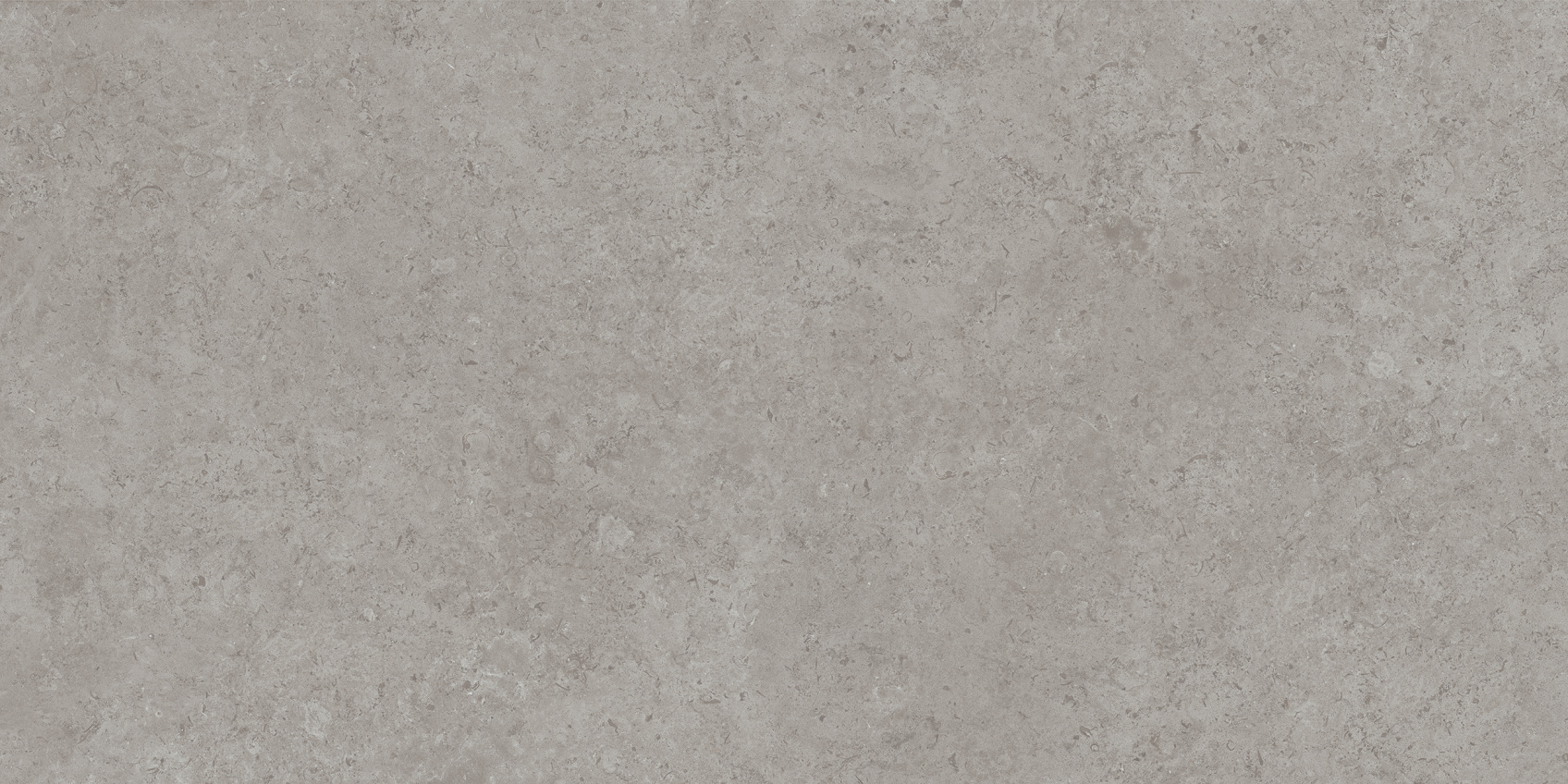 Керамический гранит Kerama Marazzi Про Лаймстоун АТ DD590620R серый натуральный обрезной 119,5х238,5 (ст.арт. DD590600R)