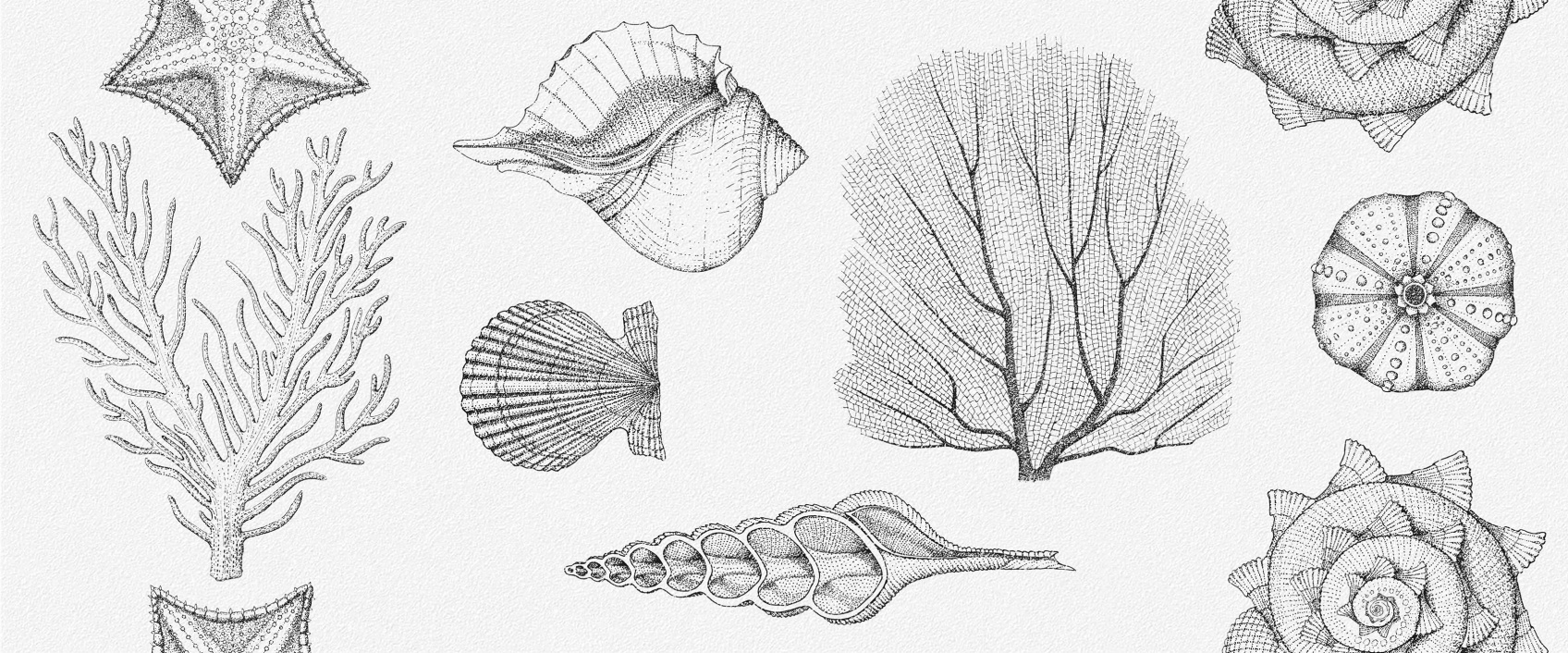 Керамическая плитка Gracia Сeramica Aqua white wall 01