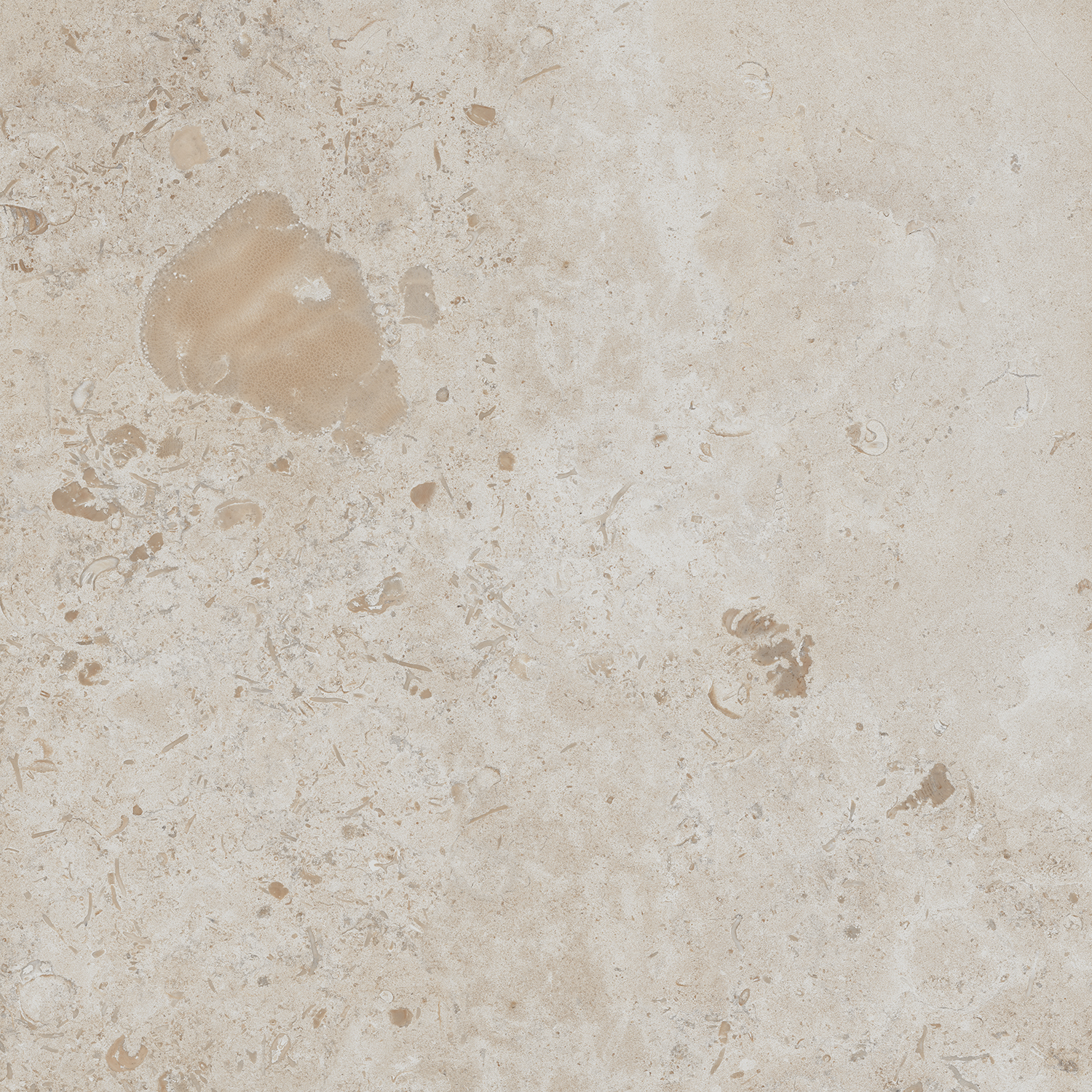 Керамический гранит Kerama Marazzi Про Лаймстоун DD641220R бежевый натуральный обрезной 60х60 см