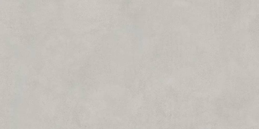 Керамический гранит Lasselsberger Ceramics Иней 6493-0138 60х120 темно-серый