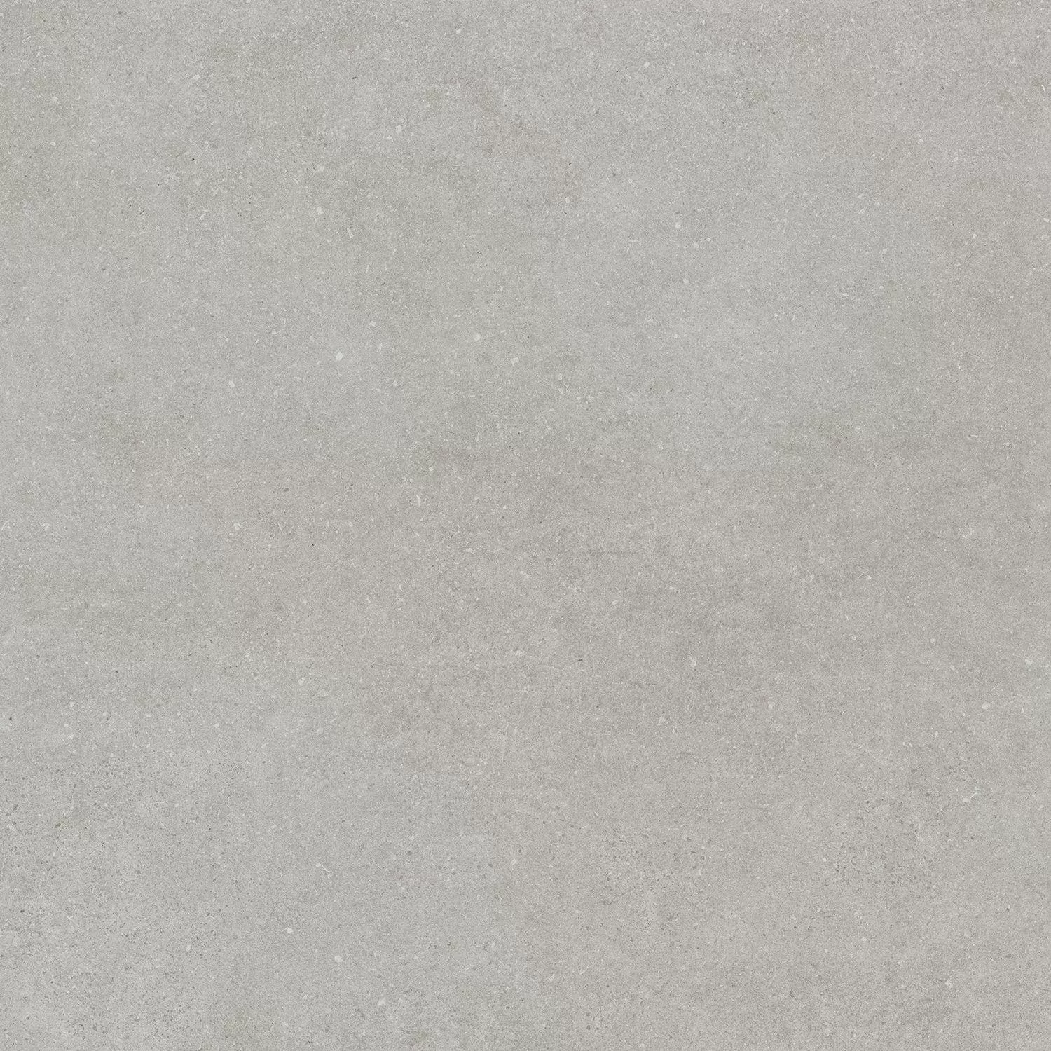 Керамический гранит Kerama Marazzi Монсеррат SG647520R серый светлый натуральный обрезной (ст.арт. SG647500R) 60х60