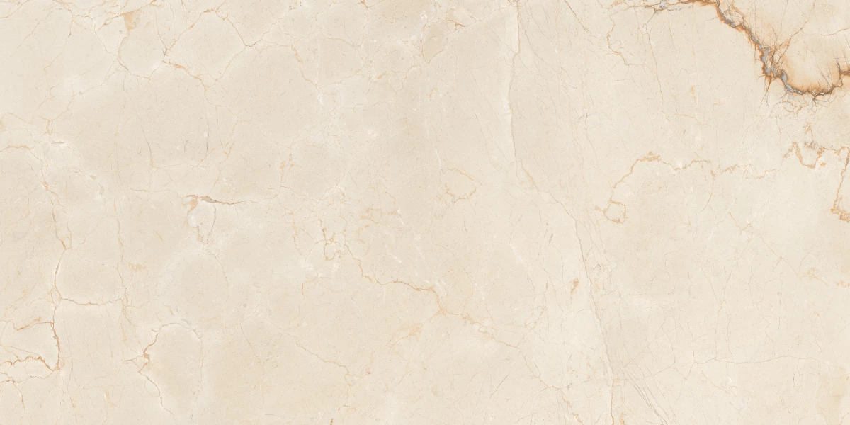 Керамический гранит MAIMOON CERAMICA ITACID CRIOX MOSS Carving 60х120