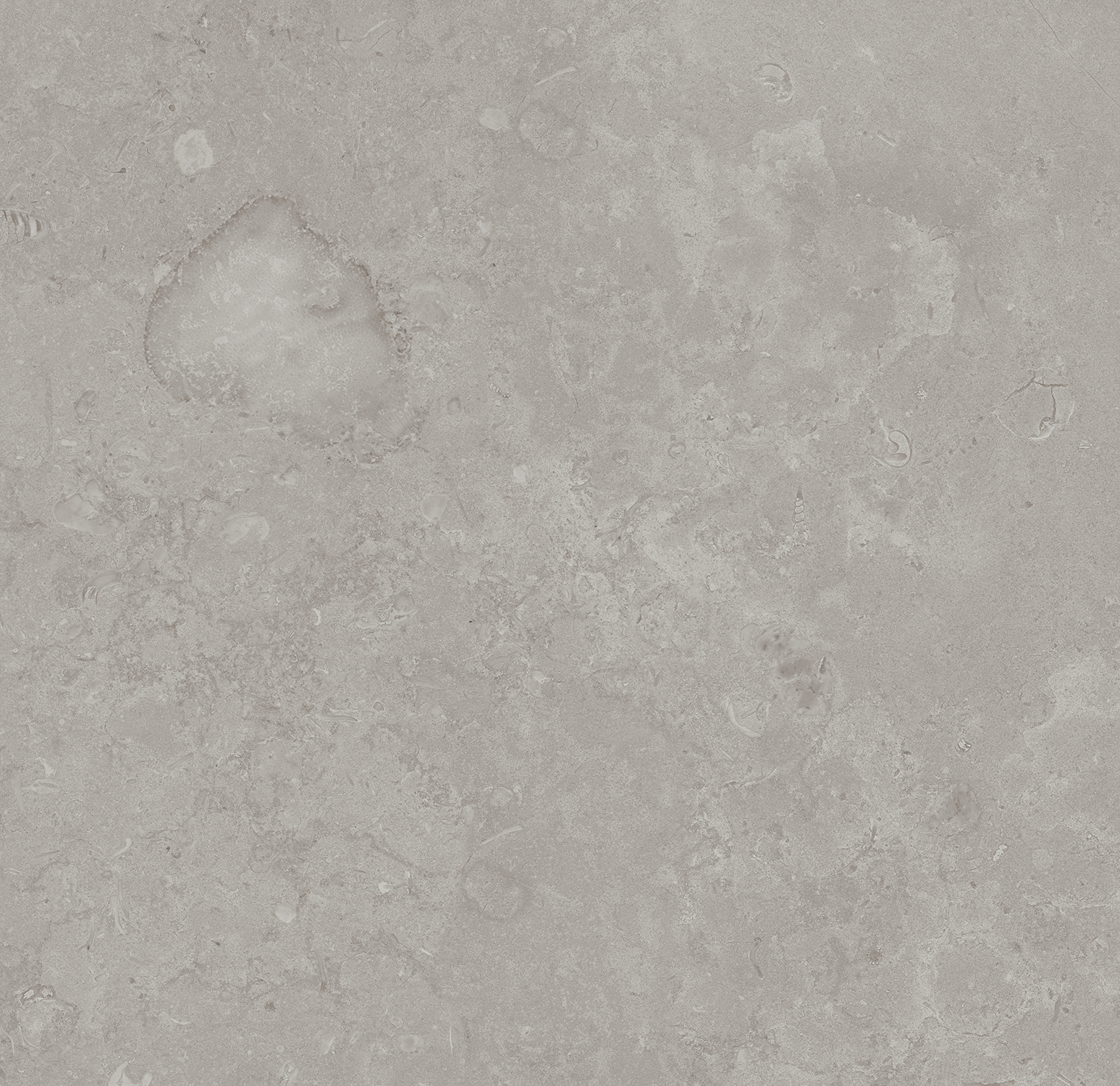 Керамический гранит Kerama Marazzi Про Лаймстоун DD640920R серый натуральный обрезной 60х60 см