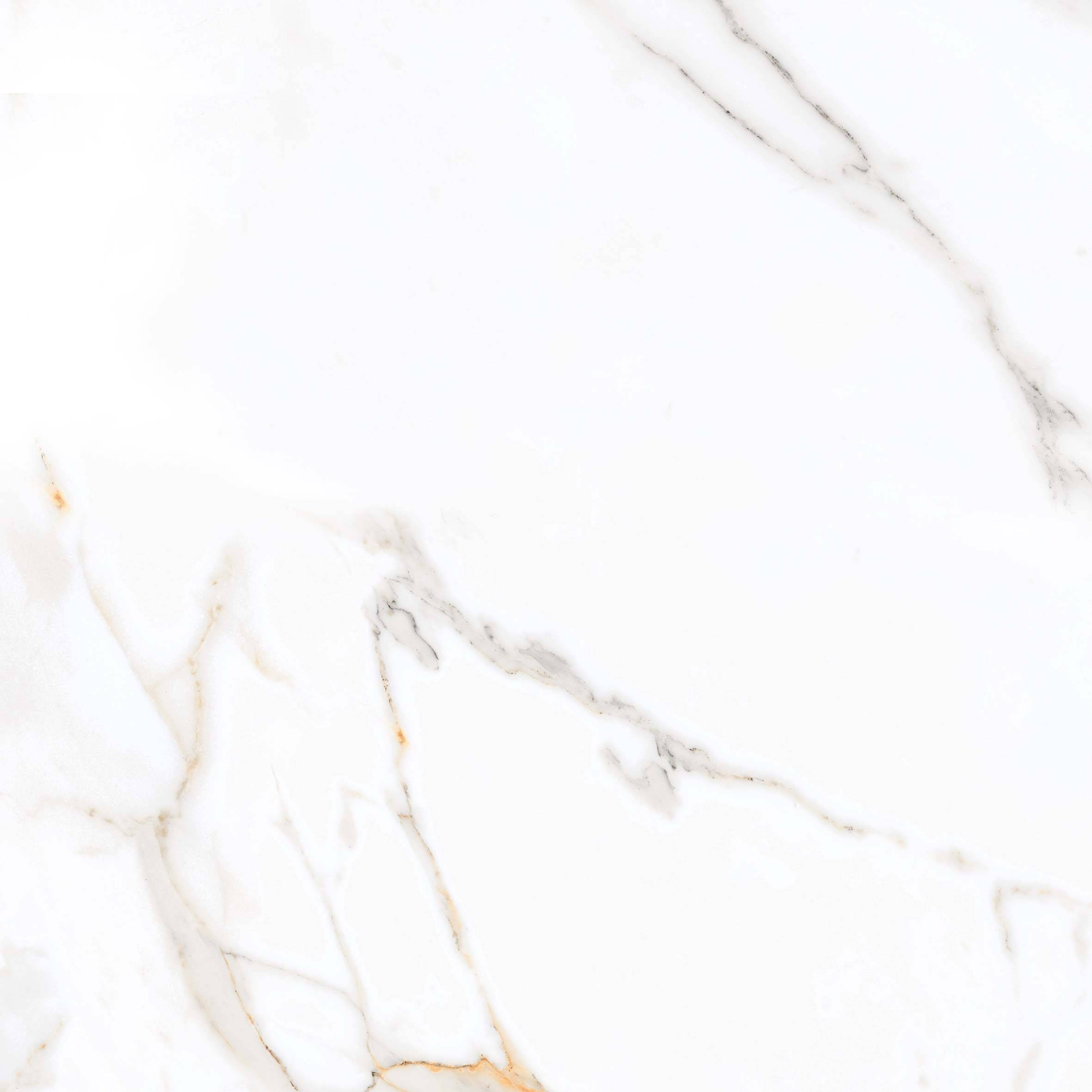 Керамический гранит Primavera Regal Carara 60х60 PR103 полированный