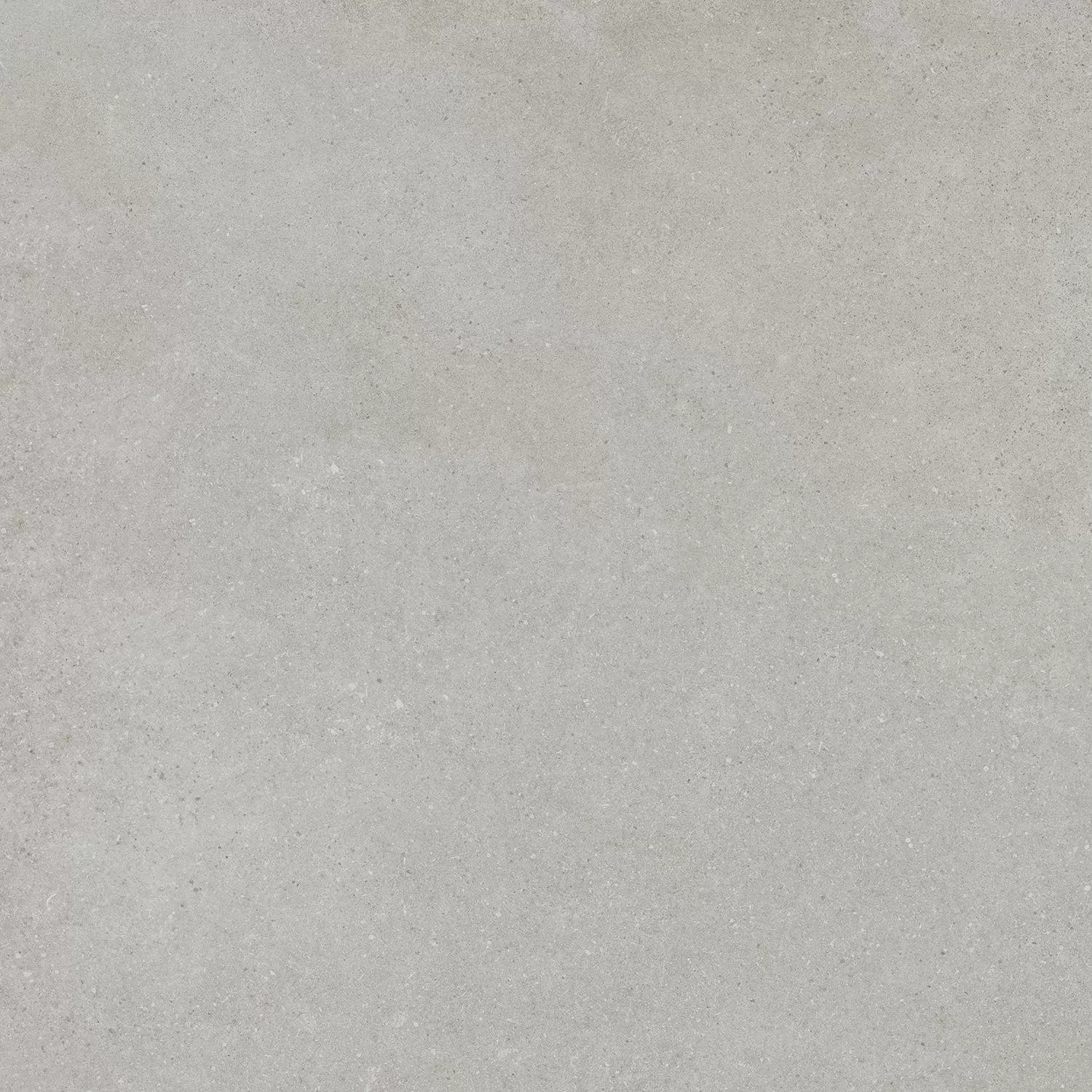 Керамический гранит Kerama Marazzi Монсеррат SG647520R серый светлый натуральный обрезной (ст.арт. SG647500R) 60х60