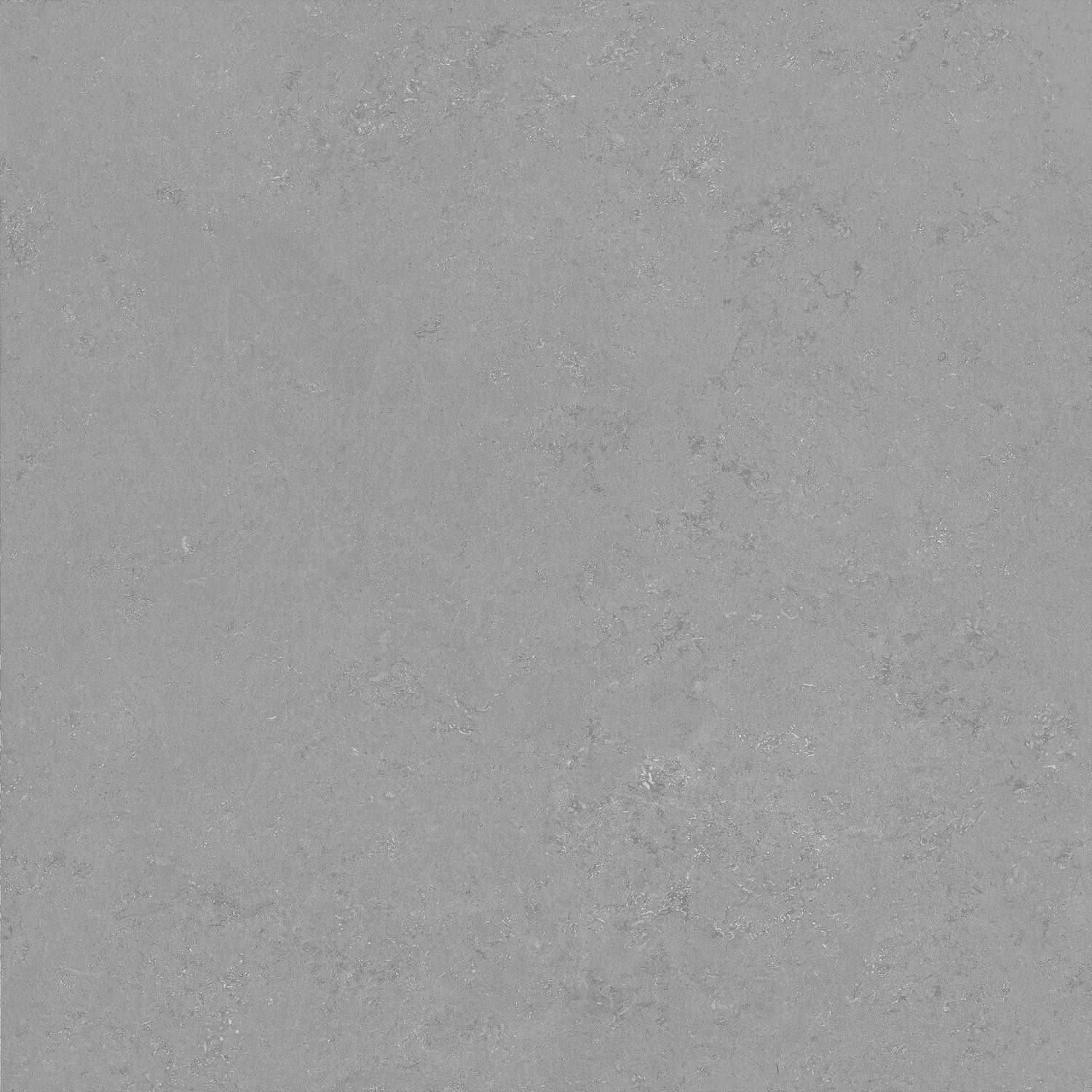 Керамический гранит Primavera Тайкан светло-серый Matt 60x60 NG107