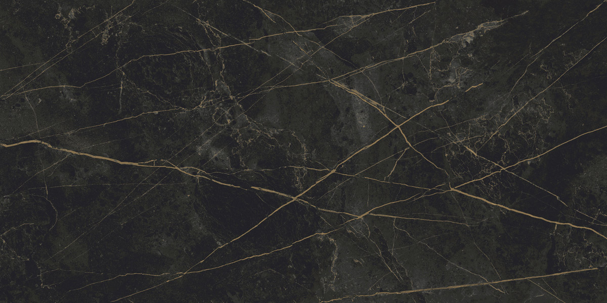 Керамический гранит Sandra CF013 MR матовый черно-оливковый 600х1200