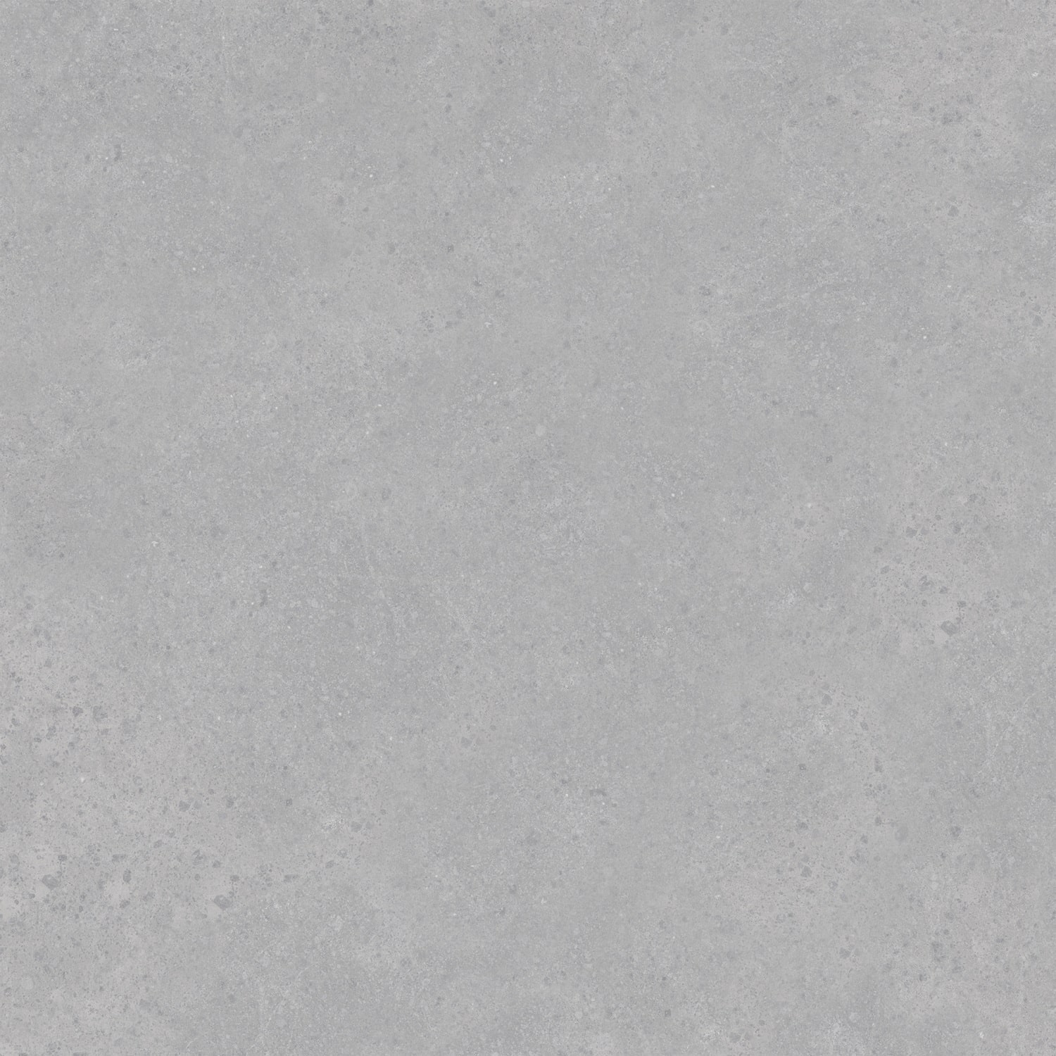Керамический гранит Primavera Ранера светло-серый Matt 60x60 NG137