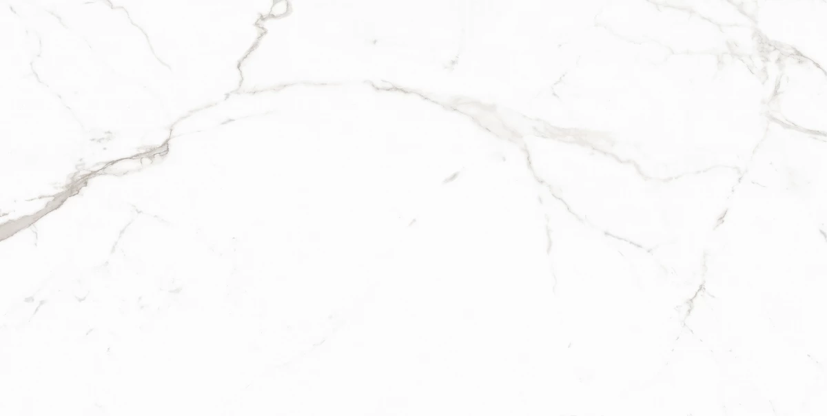 Керамический гранит MAIMOON CERAMICA 12053 Carving матовый 60х120