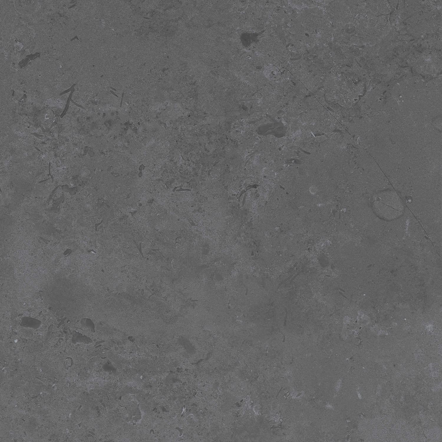 Керамический гранит Kerama Marazzi Про Лаймстоун DD640820R серый темный натуральный обрезной 60х60 см