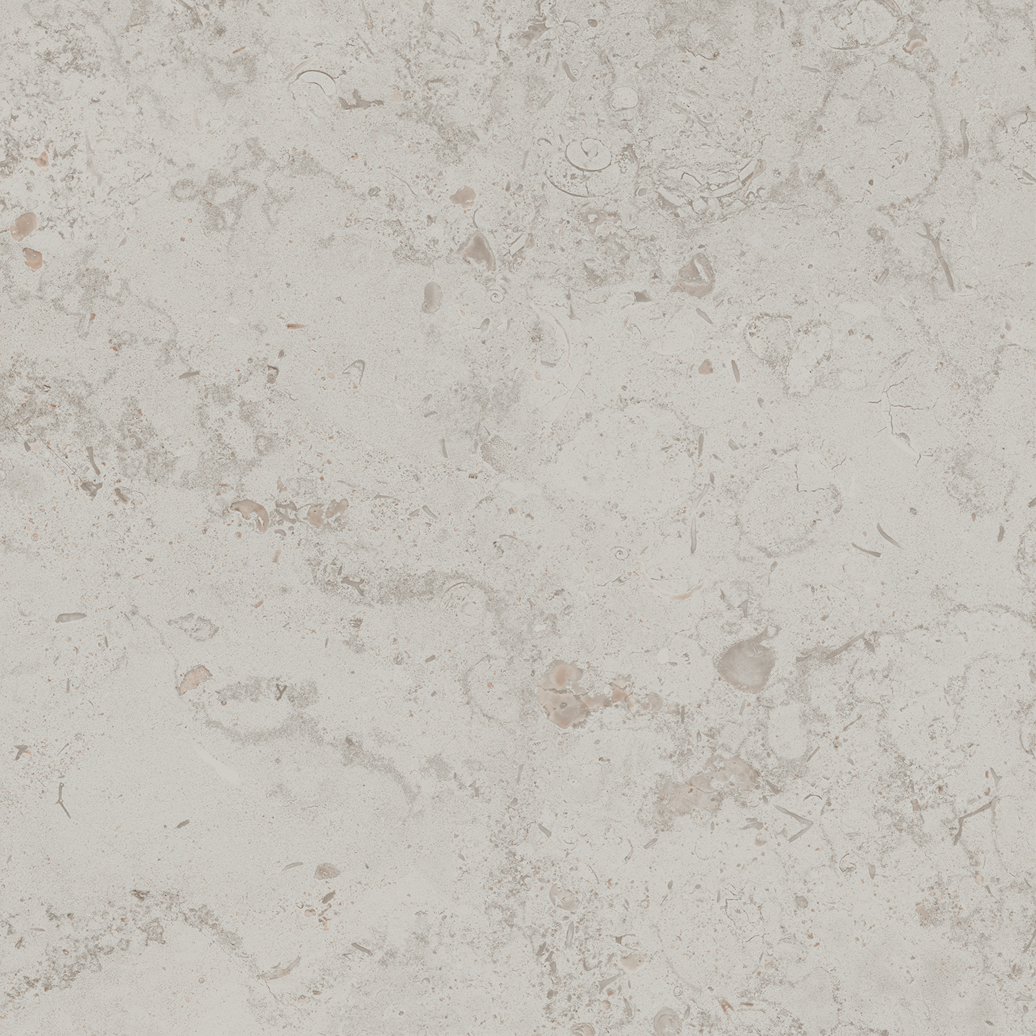 Керамический гранит Kerama Marazzi Про Лаймстоун DD641020R серый светлый натуральный обрезной 60х60 см